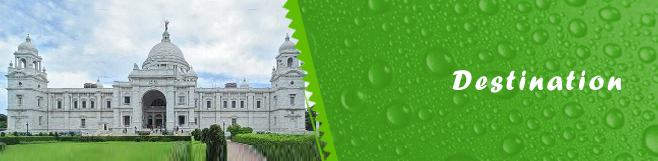 Desktop Banner