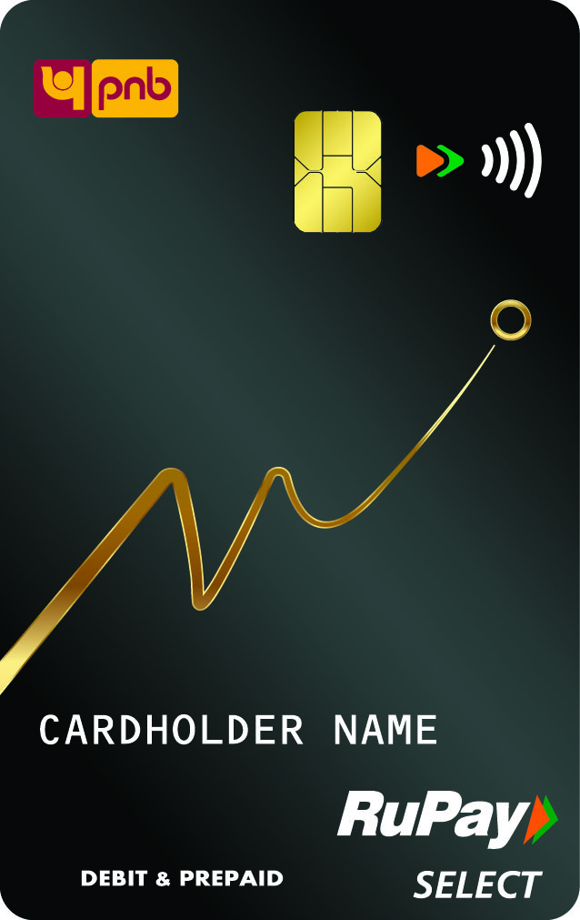 PNB Rupay Select Excel